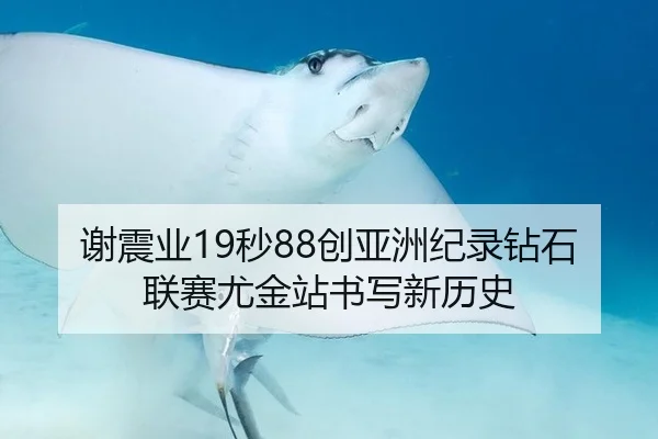 谢震业19秒88创亚洲纪录钻石联赛尤金站书写新历史