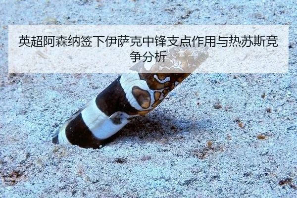ying-chao-a-sen-na-qian-xia-yi-sa-ke-zhong-feng-zhi-dian-zuo-yong-yu-re-su-si-jing-zheng-fen-xi-3-152.jpg